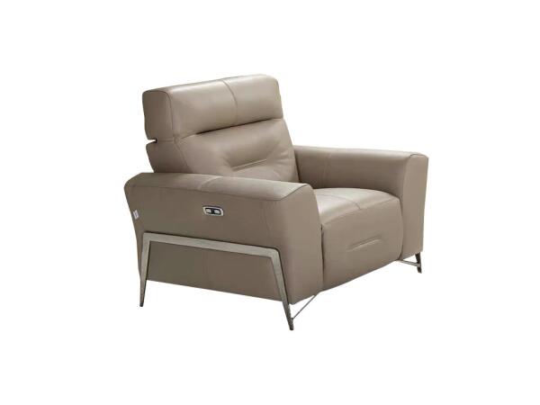 I779 Arm Chair Living Room
